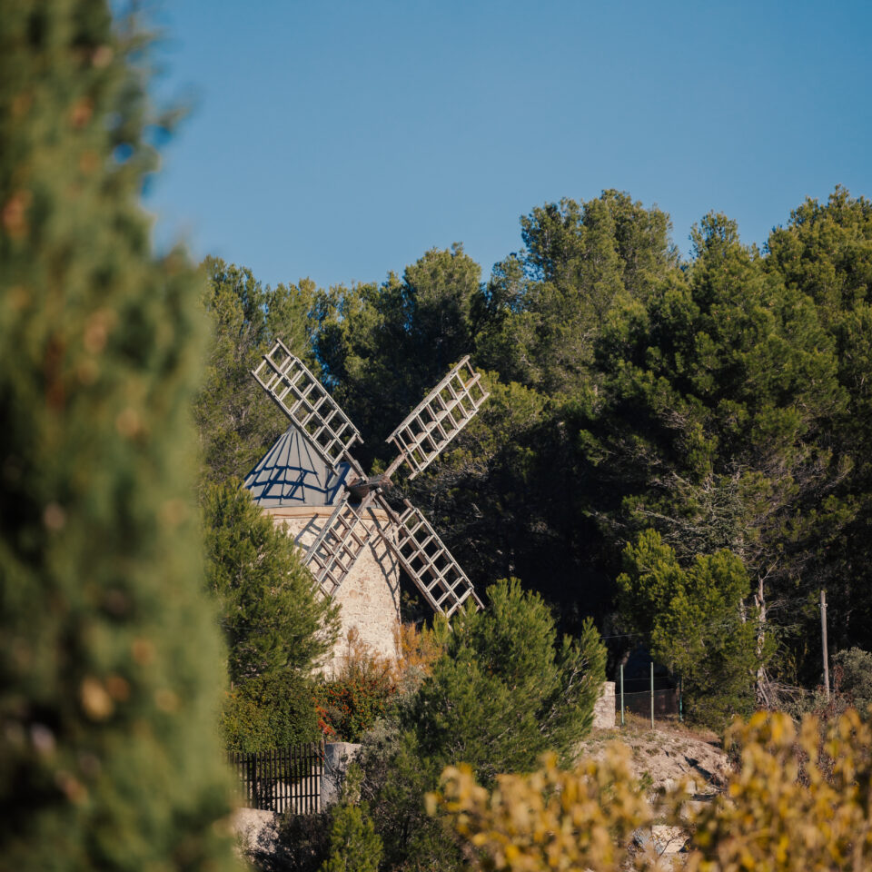 OFFICE_GARDANNE_CHEKREK_2023-0667