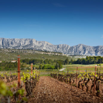 Association vignerons Sainte Victoire