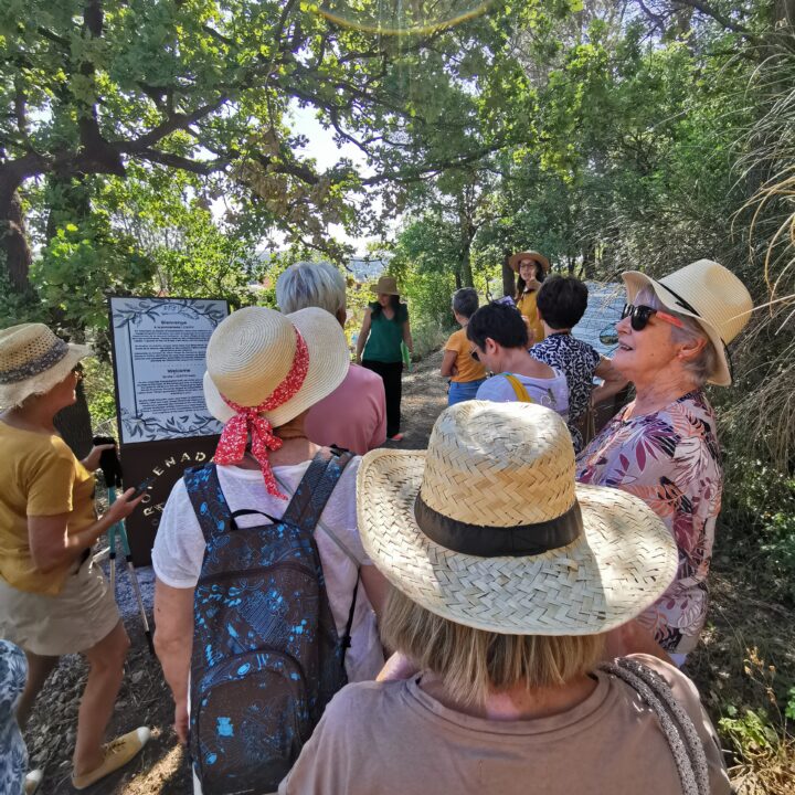 Visite de la promenade Cezanne